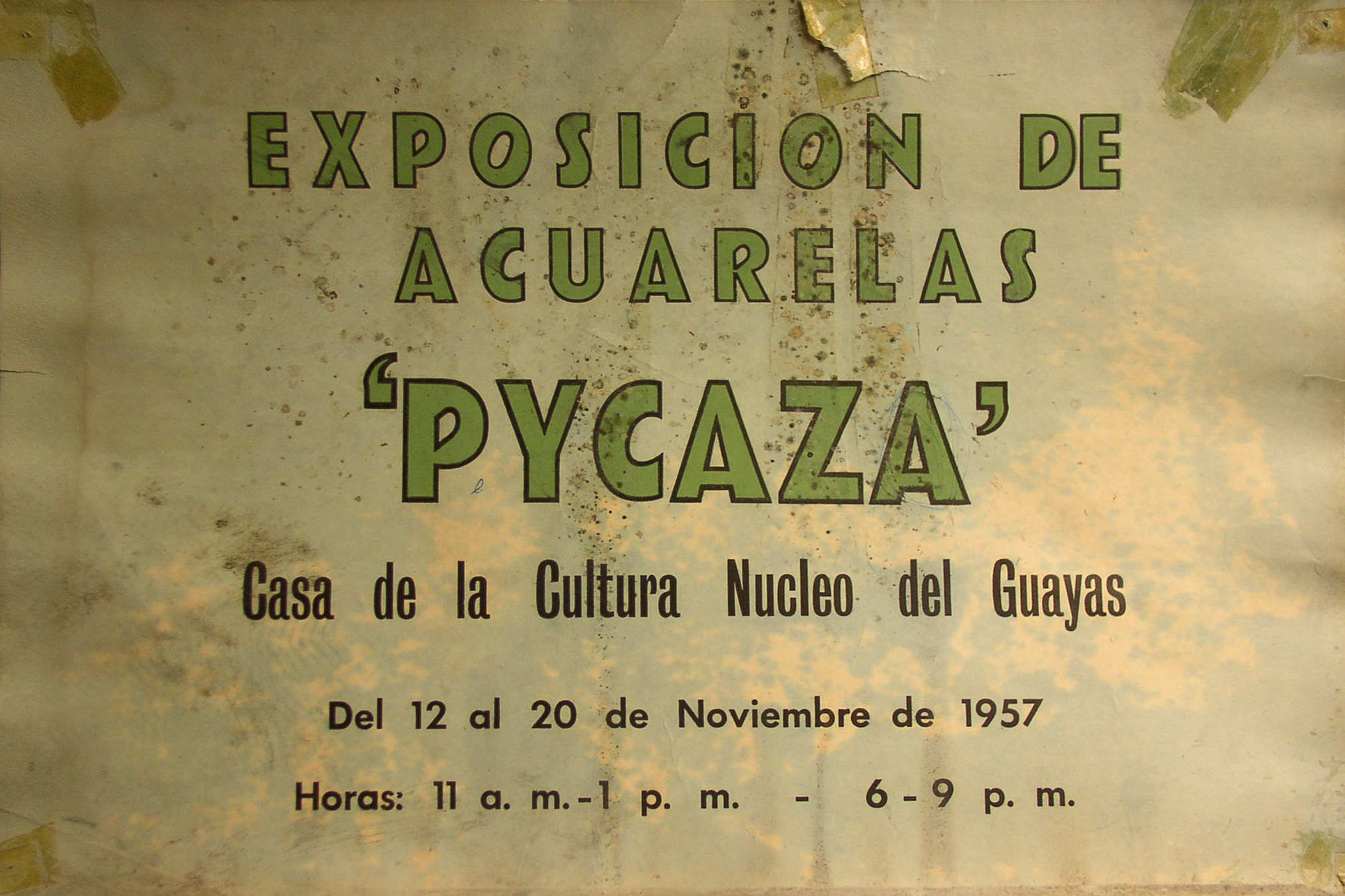 Registro de crítica y trayectoria expositiva de Pacífica Ycaza